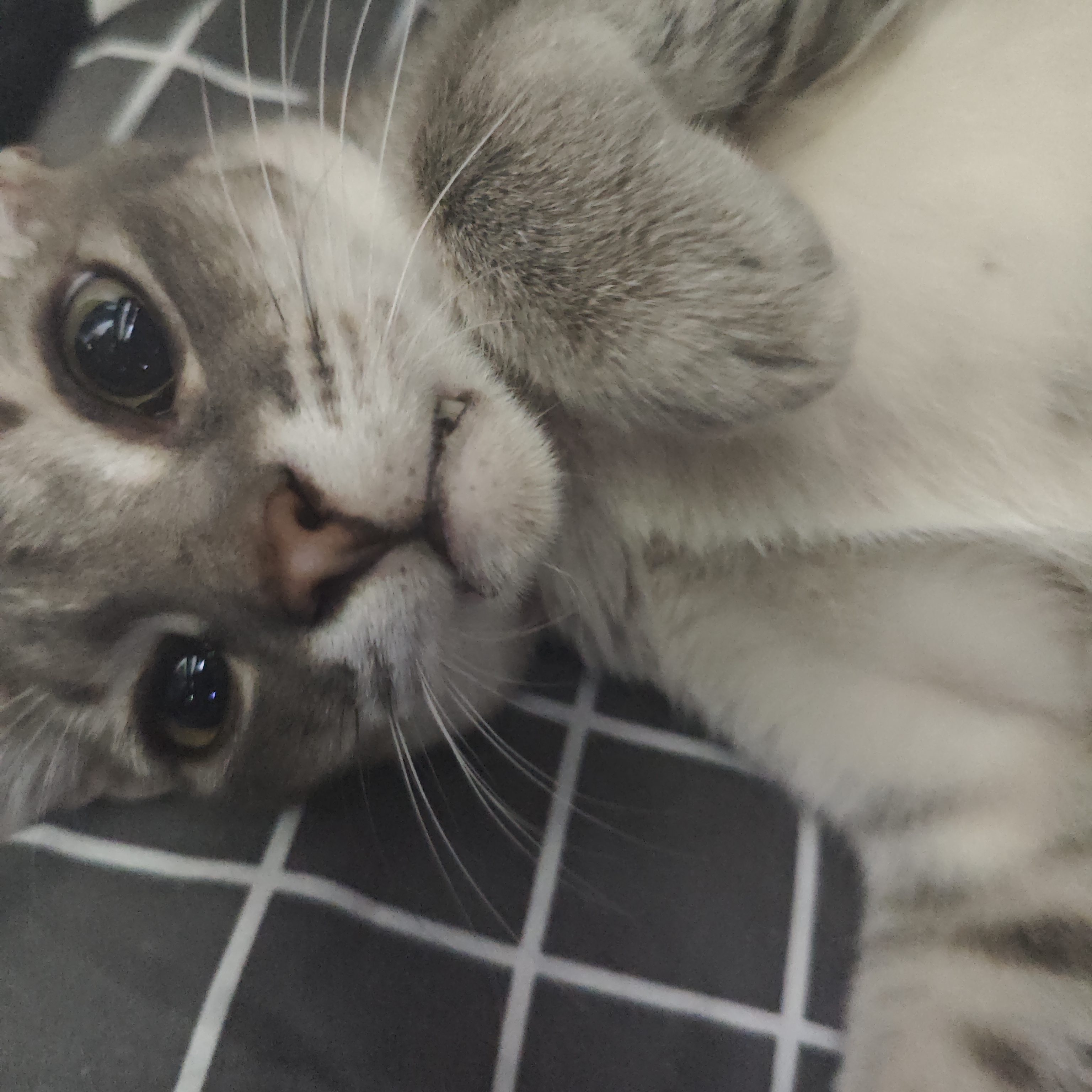 Selfie dulu